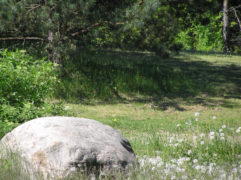 شقة Wymoj Park ستافيغودا المظهر الخارجي الصورة